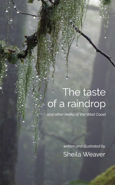 The Taste of a Raindrop
