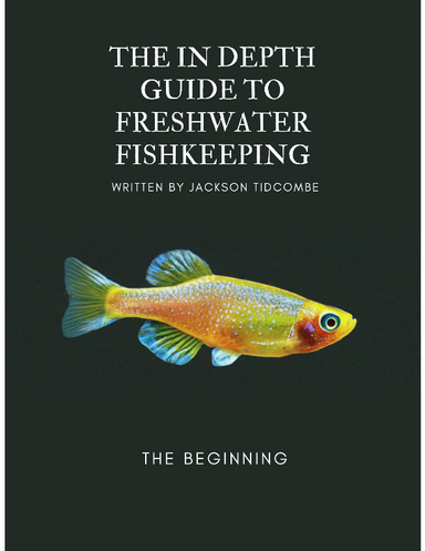 The Guide To Freshwater Aquascaping