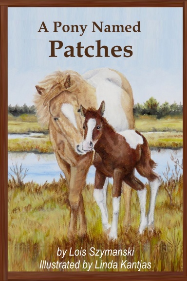 A Pony Named Patches