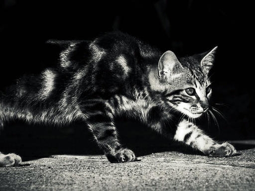 A twist in the tail - two poems