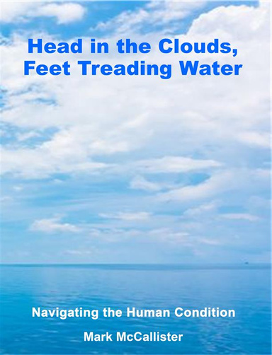 Head in the Clouds, Feet Treading Water