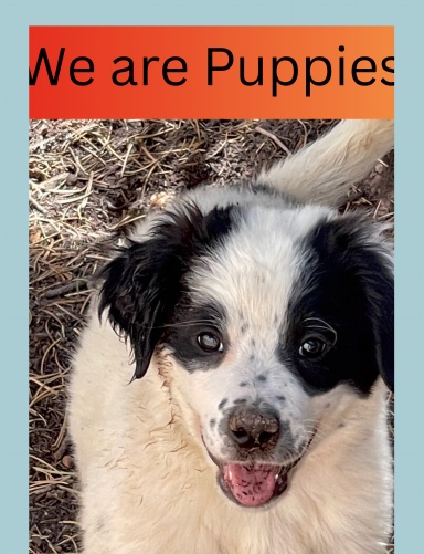 We are Puppies!