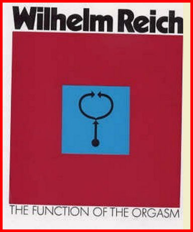 The Function of the Orgasm