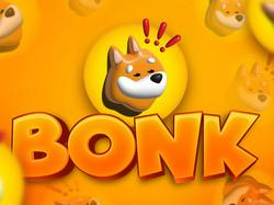 Bonk Coin