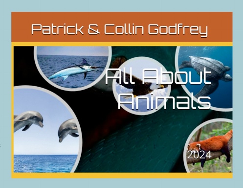 All about animals