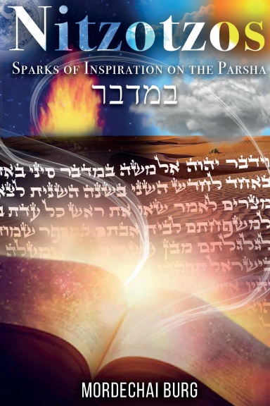 Nitzotzos Bamidbar
