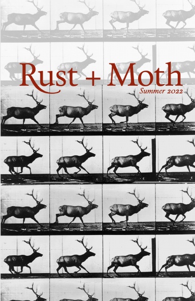 Rust and Moth: Summer 2022