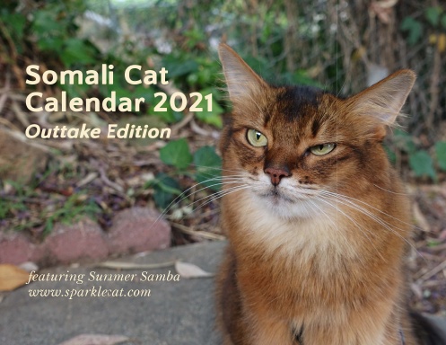 Somali Cat Calendar 2021 - Outtake Edition