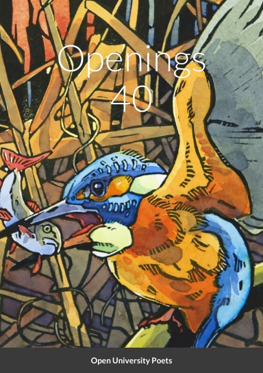 Openings 40