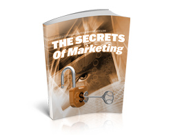 your first online business