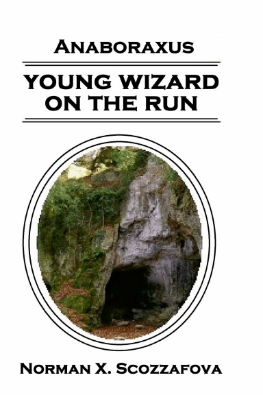 YOUNG WIZARD ON THE RUN