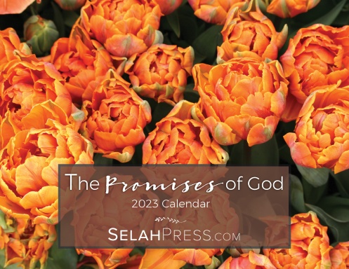 2023 Wall Calendar: The Promises of God