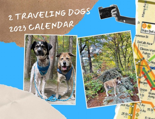 2 Traveling Dogs 2023 Wall Calendar