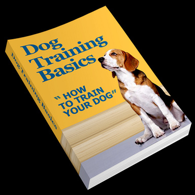 Dog Training Basics