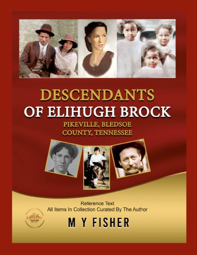{Abridged} Descendants of Elihugh Brock