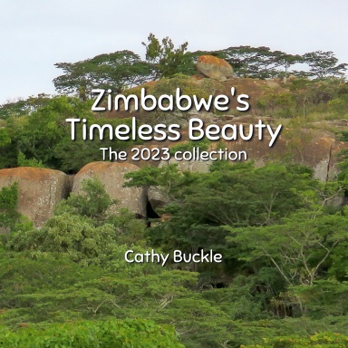 Zimbabwe's Timeless Beauty: The 2023 Collection (PAPERBACK)