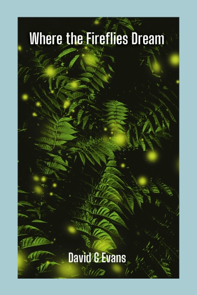 Where the Fireflies Dream