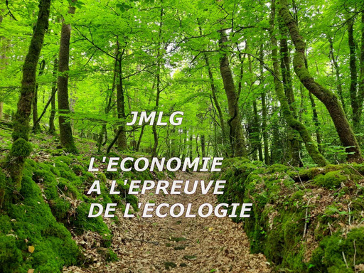L'ECONOMIE A L'EPREUVE DE L'ECOLOGIE