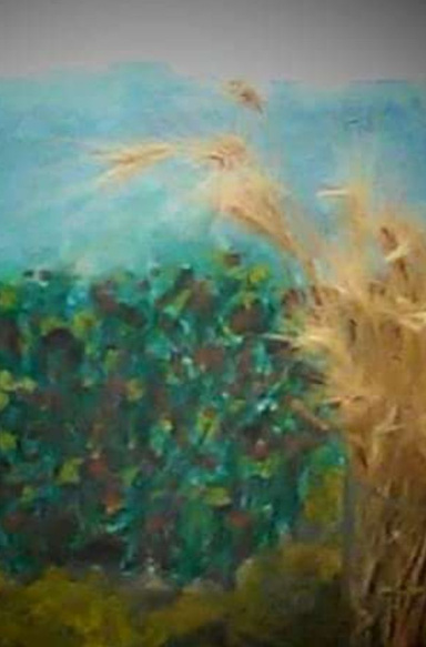 BUSCANDO  CRiSTIANOS