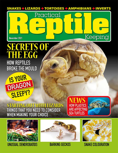 Practical Reptile Keeping - November 2021