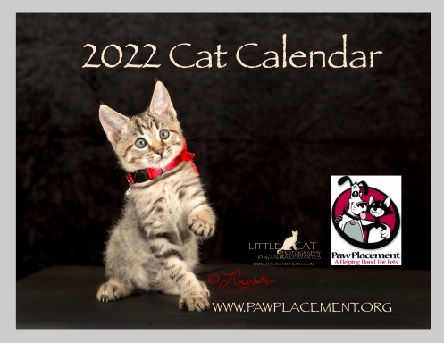 2022 Cat Calendar