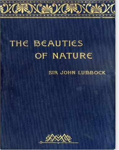 the beauty of neture