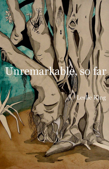 Unremarkable, so far