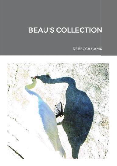 BEAU'S COLLECTION