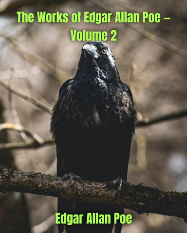 The Works of Edgar Allan Poe — Volume 2