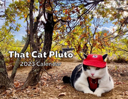 That Cat Pluto 2023 Calendar