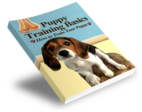 Puppy Training Basics Book