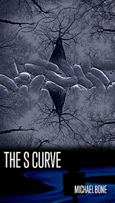 The S Curve
