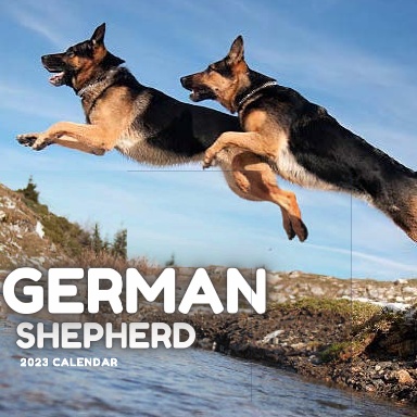 German Shepherd calendar book 2023