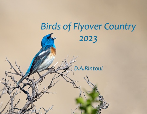 Birds of Flyover Country 2023