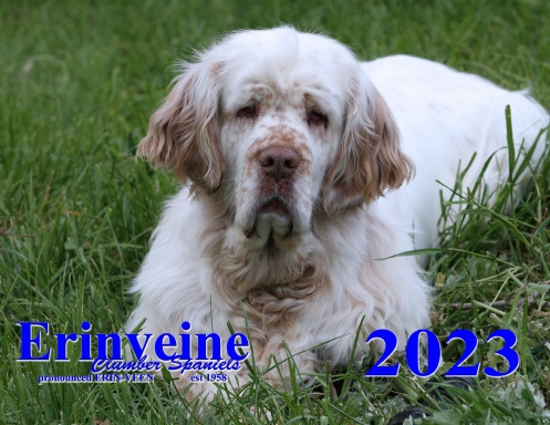2023 Erinveine Clumber Spaniel Calendar