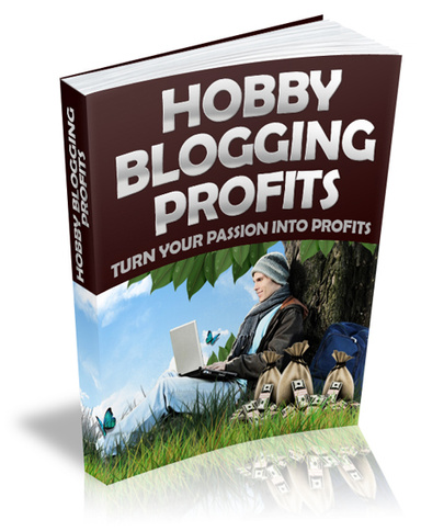 HOBBY BLOGGING PROFITS