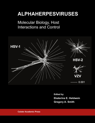 Alphaherpesviruses