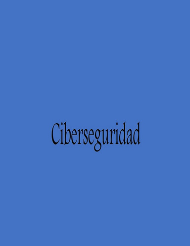 Ciberseguridad