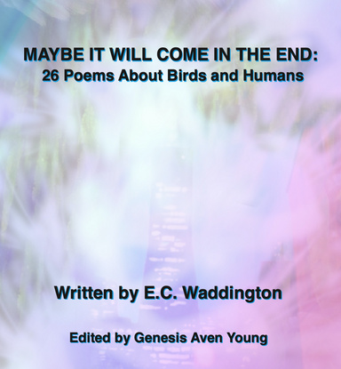 MAYBE IT WILL COME IN THE END: 26 Poems About Birds and Humans