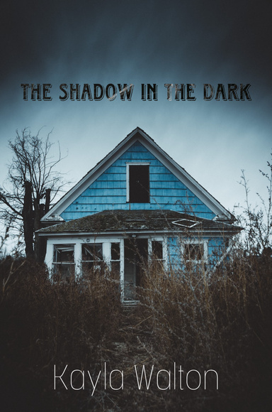 The Shadow in the Dark