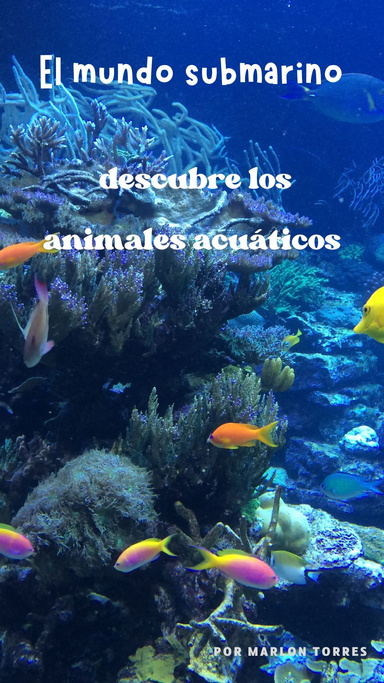 El mundo submarino: descubre los animales acuáticos