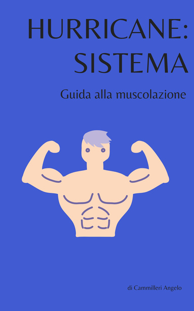 Hurricane: Sistema