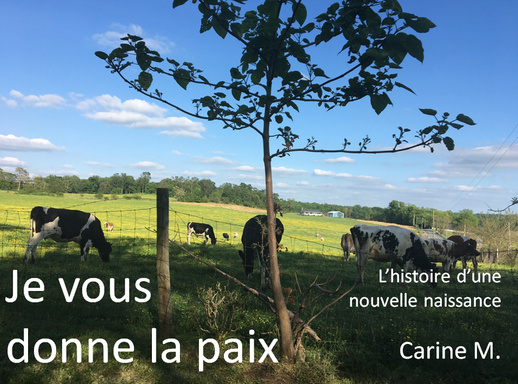 Je vous donne la paix