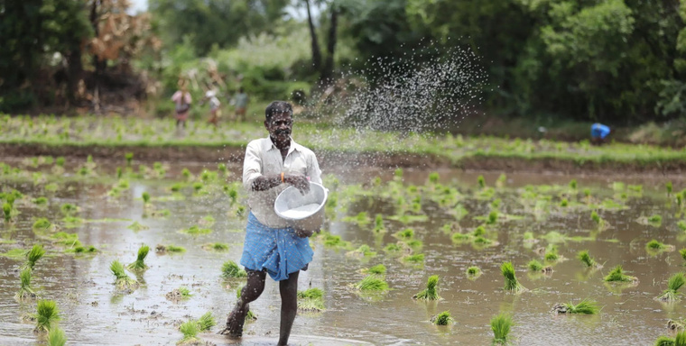 Farming Made-Easy with Krishi Fertilizers | 8 Best Organic Fertilizers for your Farm