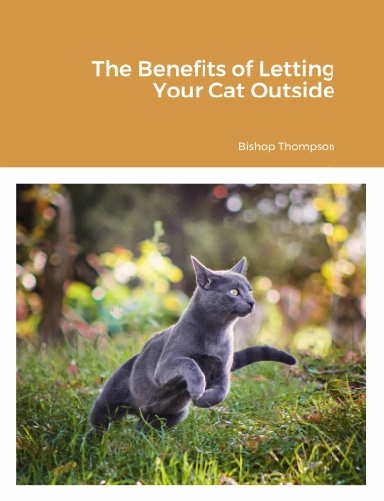 The Benefits of Letting Your Cat Outside