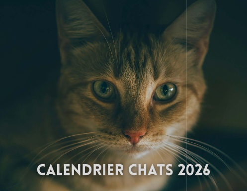 Calendrier Chats 2026