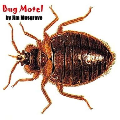 Bug Motel