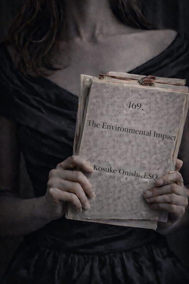 The Environmental Impact