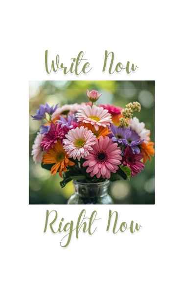Write Now, Right Now - Summer Edition 3