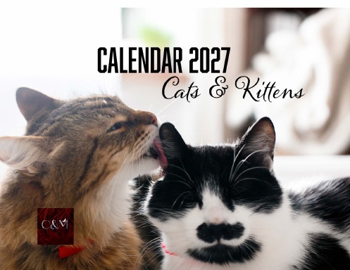 Cats & Kittens